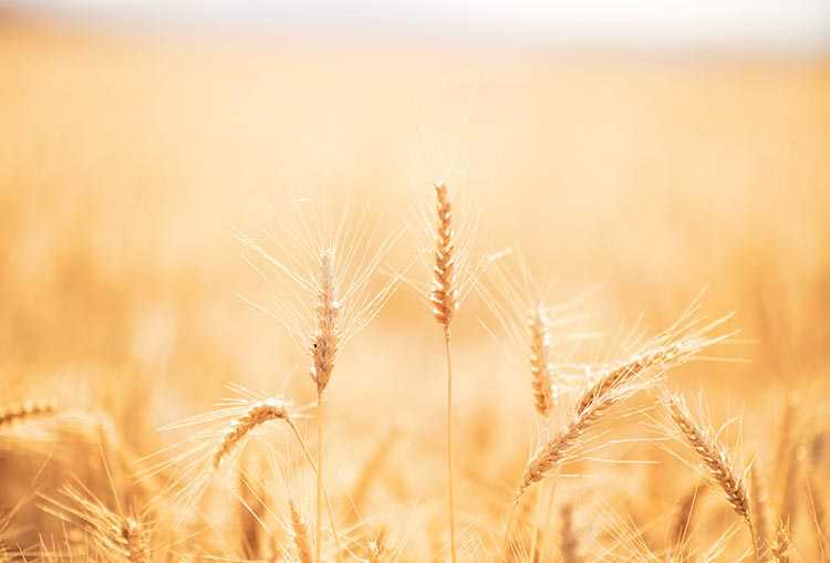 Related: Setting Up Fundraisers to Support Domestic Violence Shelters